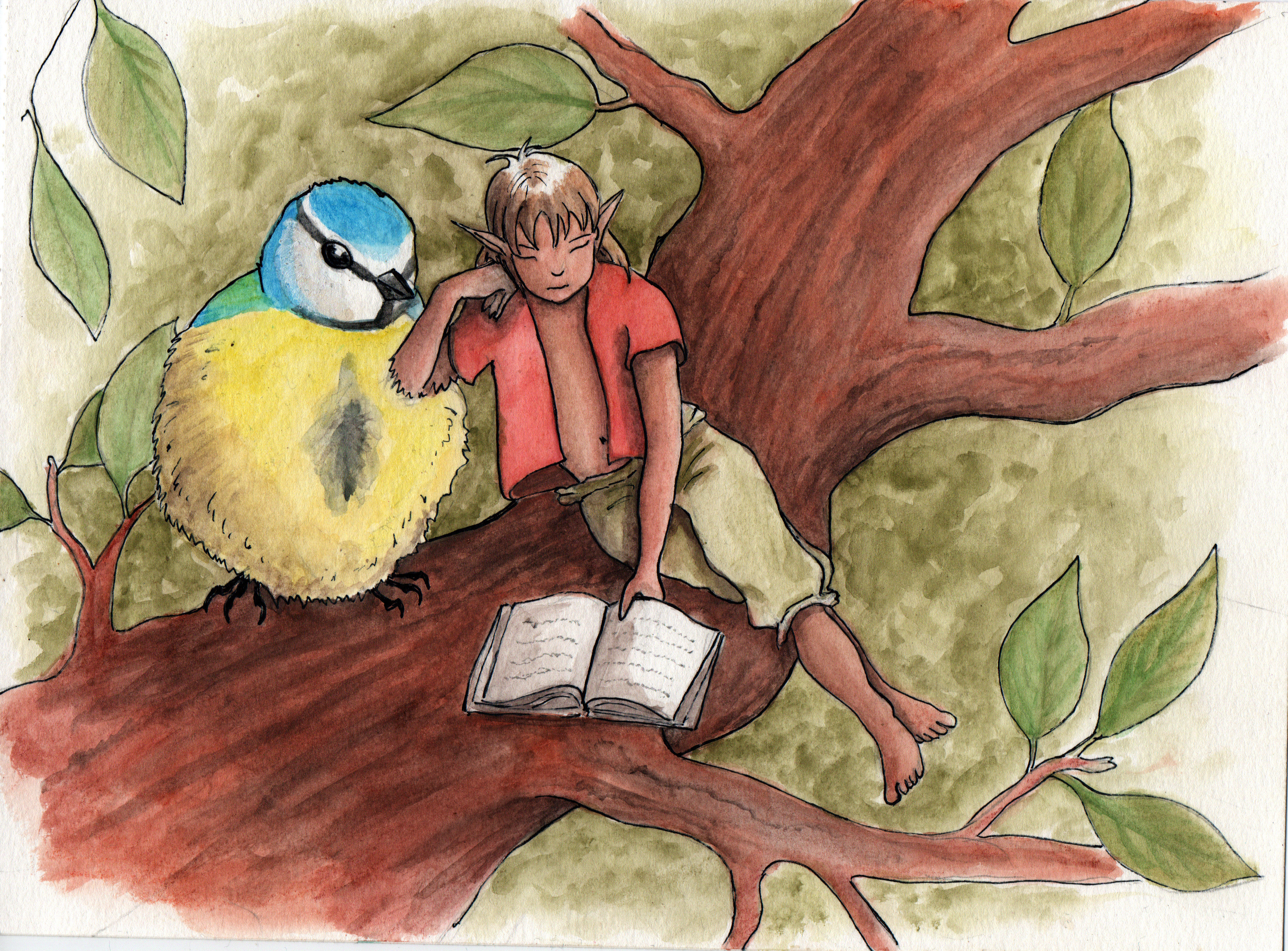 Dessin à l'aquarelle représentant un lutin blond, vêtu d'un gilet rouge et d'un pantalon vert clair retroussé sous les genoux, en train de lire, assis sur une grosse branche d'arbre, accoudé sur une mésange bleue, de face, qui semble regarder le <br>livre. Le lutin et la mésange font approximativement la même taille.