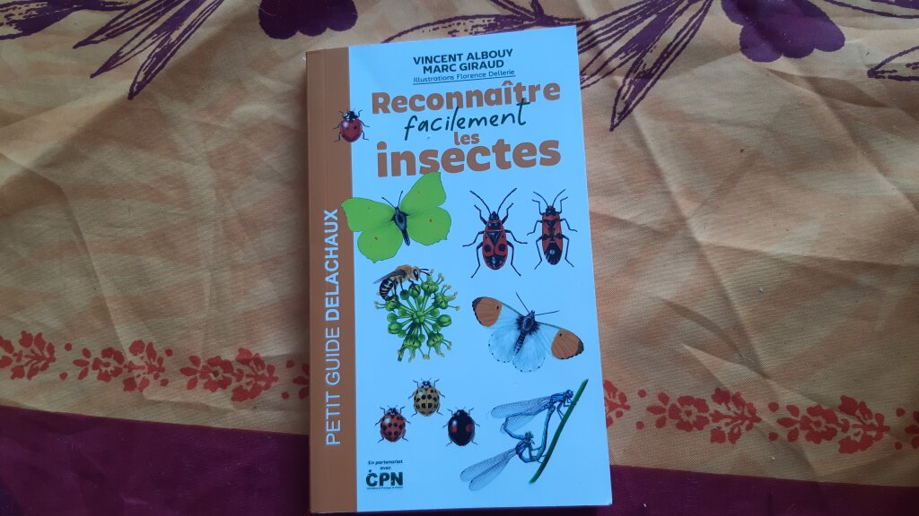 Couverture du guide "Reconnaitre facilement les insectes" de Vincent Albouy et Marc Giraud. Illustrations de Florence Dellerie. Aux éditions Delachaux