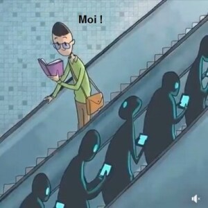 Piques et répliques 🐛