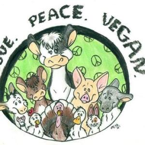 VEGA